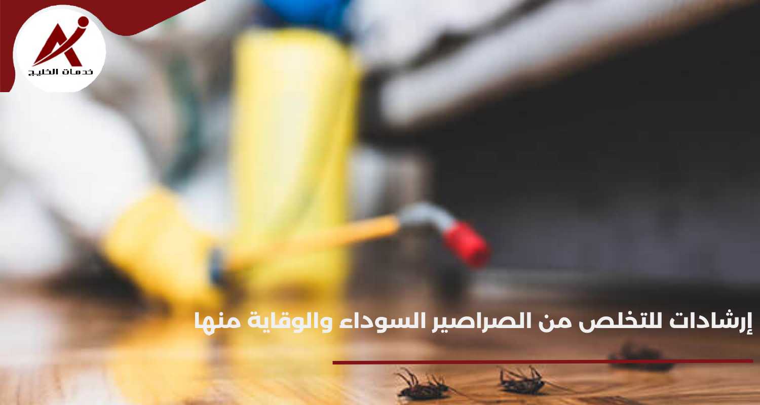 إرشادات للتخلص من الصراصير السوداء والوقاية منها