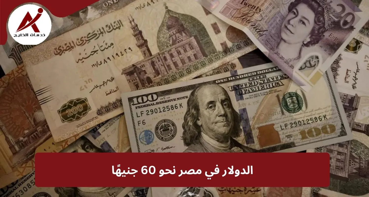  خدمات الخليج الدولار في مصر نحو 60 جنيهًا... ما الأسباب والتداعيات؟