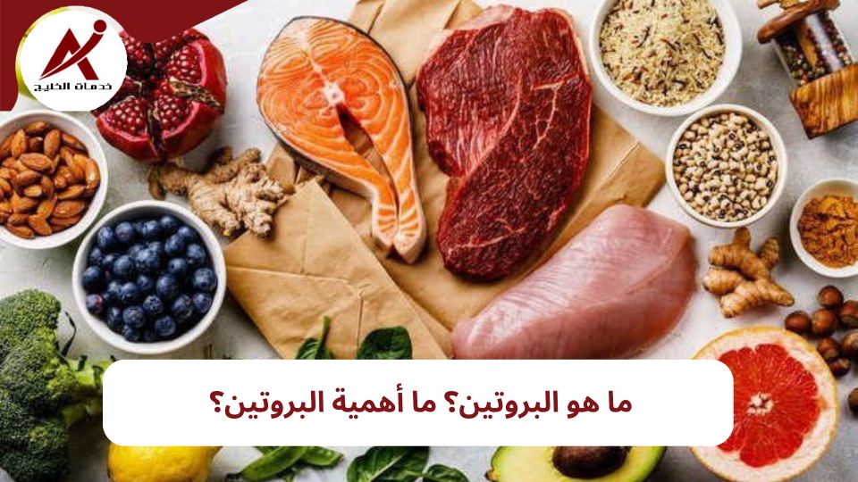 أهم 7 أكلات صحية تحتوي نسب عالية من البروتين