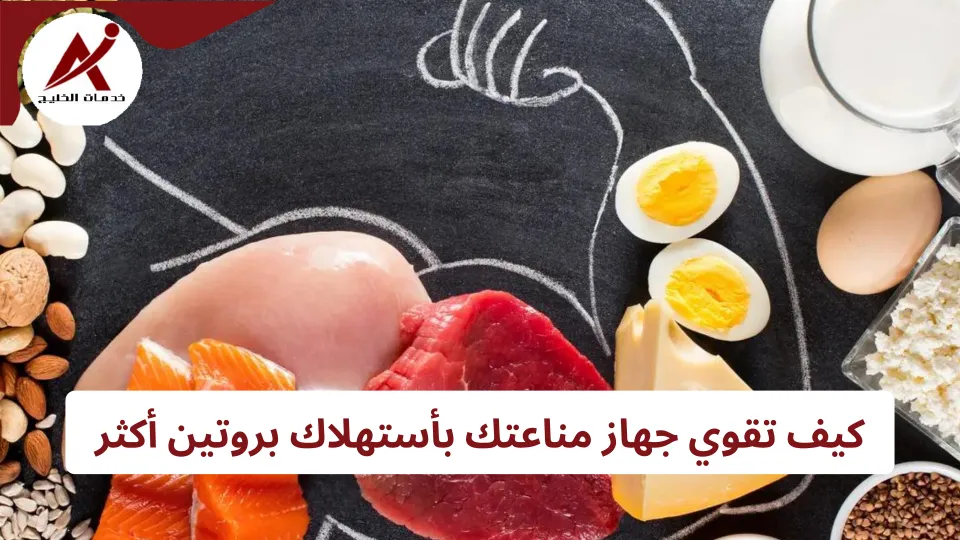 ما هي فوائد البروتين لجهاز المناعة؟ كيف تقوي جهاز مناعتك بإستهلاك بروتين أكثر