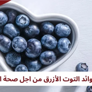 التوت الأزرق الفاكهة الصحية من أجل مرضى السكري