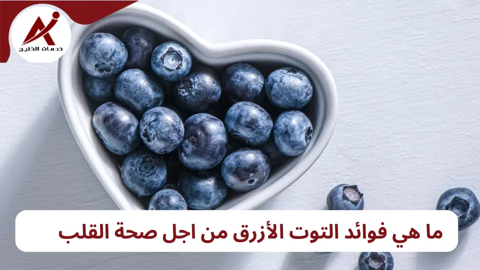 التوت الأزرق الفاكهة الصحية من أجل مرضى السكري