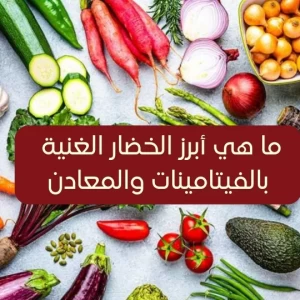  خدمات الخليج أبرز الأغذية الصحية الغنية بالفيتامينات والمعادن (الحمضيات - البقوليات والشوكولاتة)